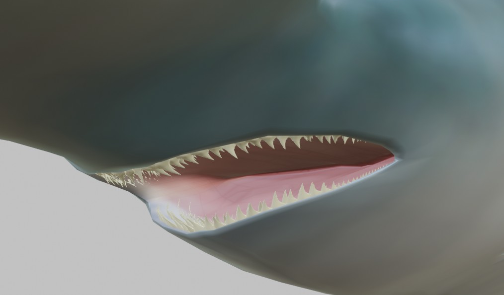 Hammerhead Shark preview image 3